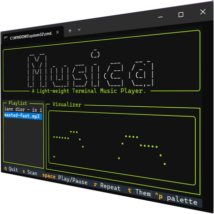 Musica Terminal Player